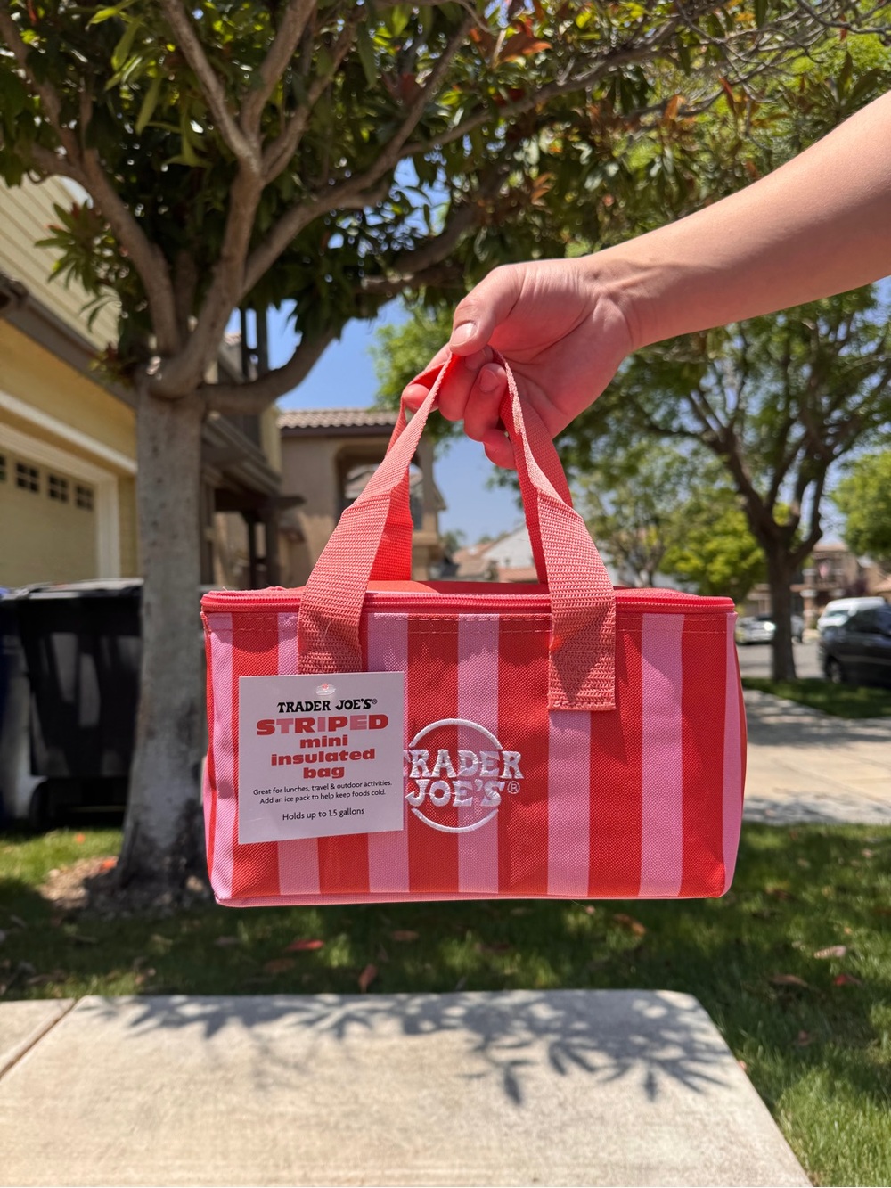 Trader Joe's Pink & Red Striped Mini Insulated Bag